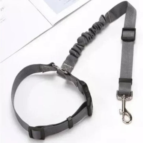 Adjustable Safety Strap for Dog – Special Car 
