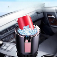 Cana Termică — Practică și Elegantă în Viața de Zi cu Zi 