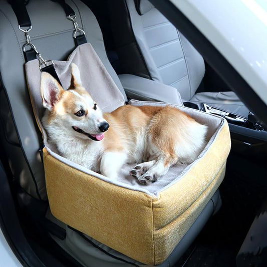 Transportpute for hund – Komfort og sikkerhet i bil 
