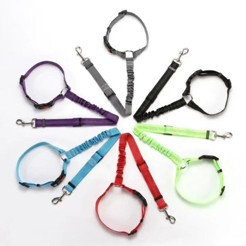 Adjustable Safety Strap for Dog – Special Car 