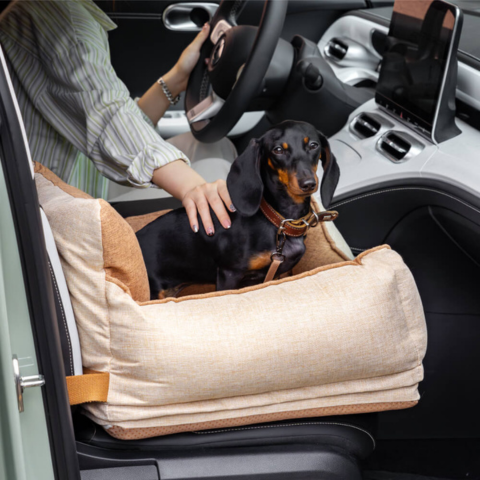 Seggiolino Auto Per Cani – Comfort E Sicurezza In Auto 