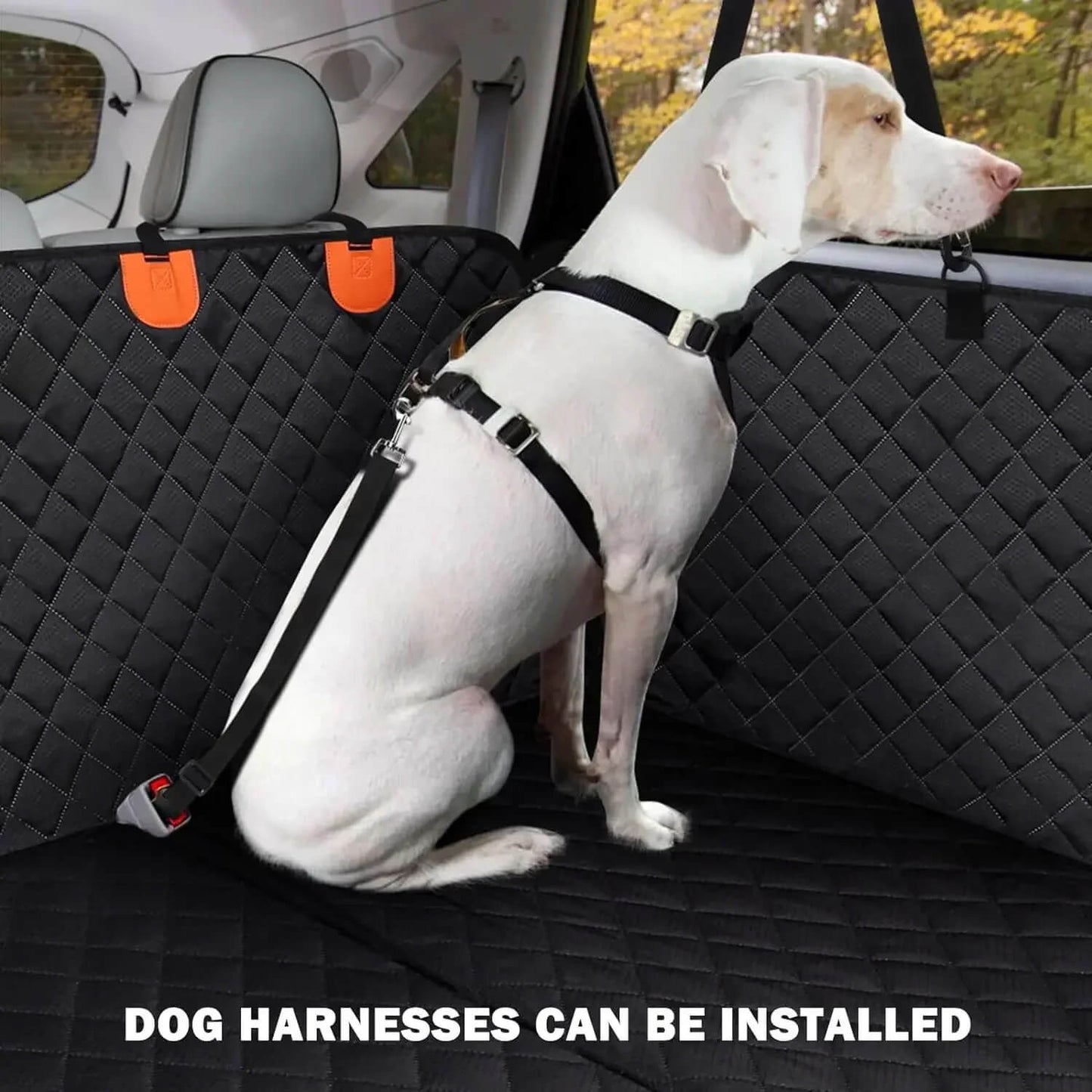 Dog Car Seat Cover – Waterproof & Non-Slip With Safety Harness 