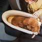 Hondtransportmand – Comfort en Stabiliteit in de Auto 