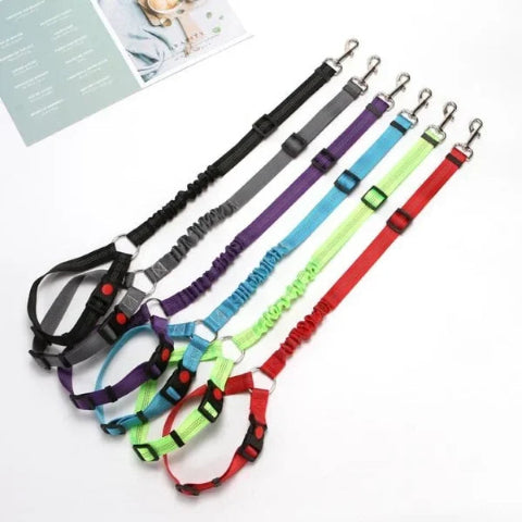 Adjustable Safety Strap for Dog – Special Car 